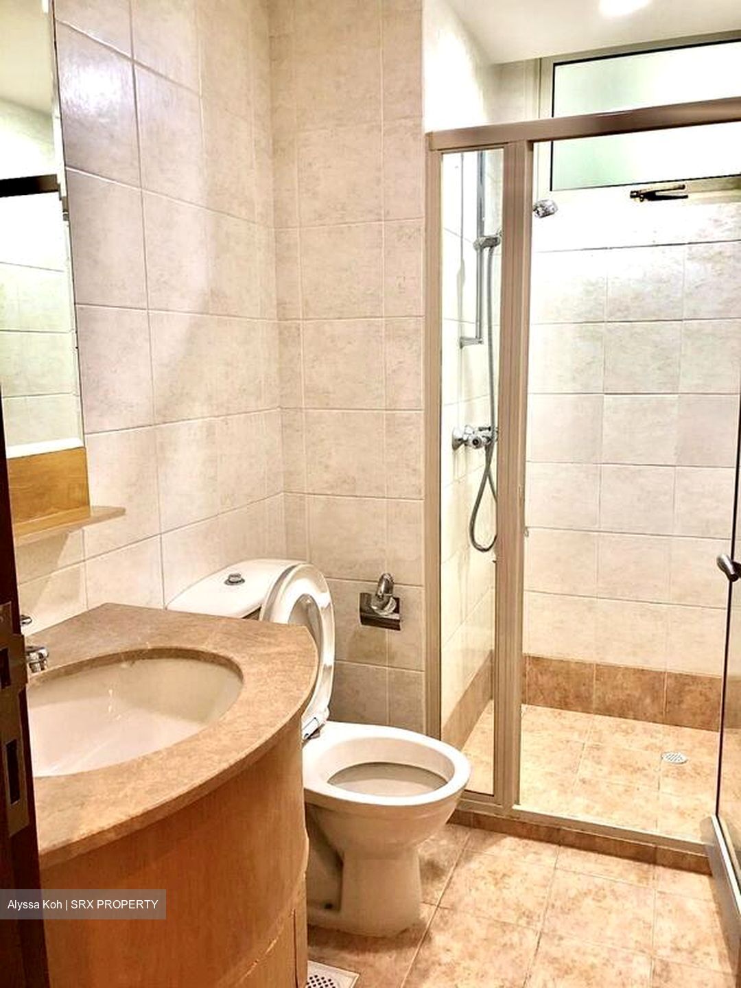 Rafflesia Condominium (D20), Condominium #501593311